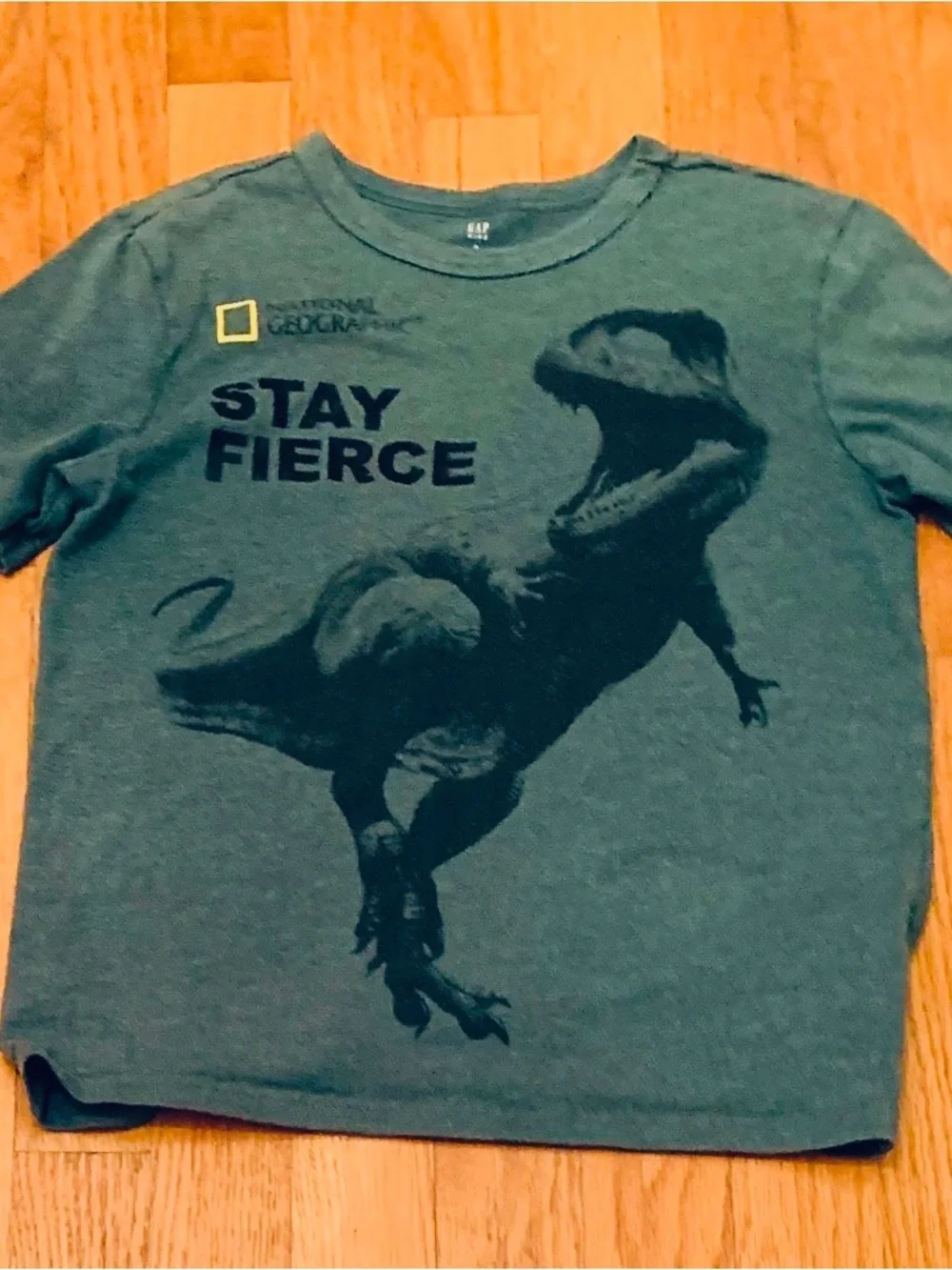 Boys Size M Shirt Bundle: Black Luke Combs, Green Gap National Geographic Dinosa